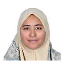 Nesreen Abdelfattah
