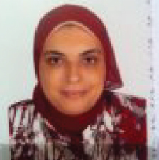 Mona A Esawy