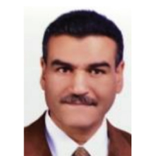 Tarek Mohamed Mustafa Heikal