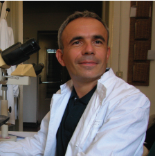 Lucioni Marco
