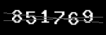 CAPTCHA verification code